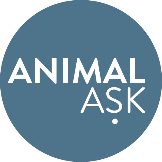 Animal Ask